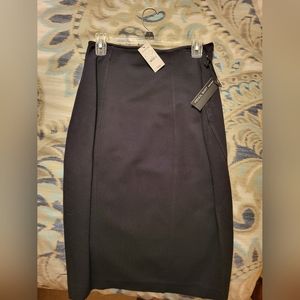 Express Pencil Skirt
